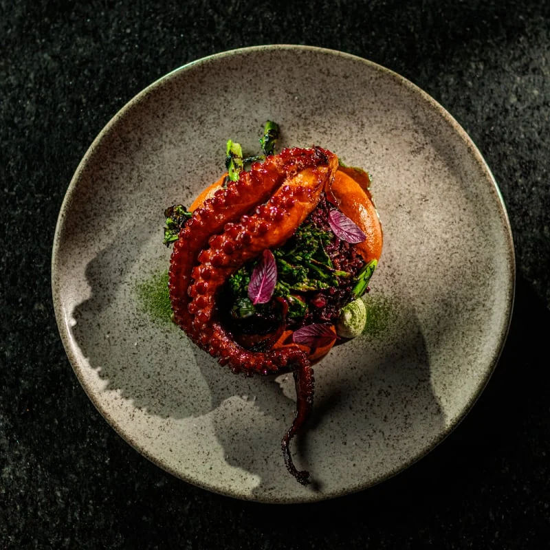 Polvo com Arroz Negro, do cardápio do Voar, em Boa Viagem